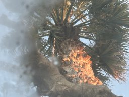 150-31-12-2025 IMG_3335